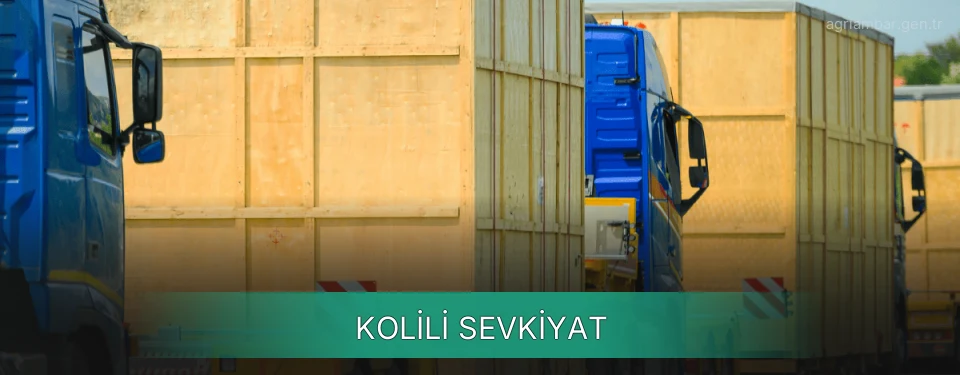 Ağrı Kolili Sevkiyat Ambar Firmaları