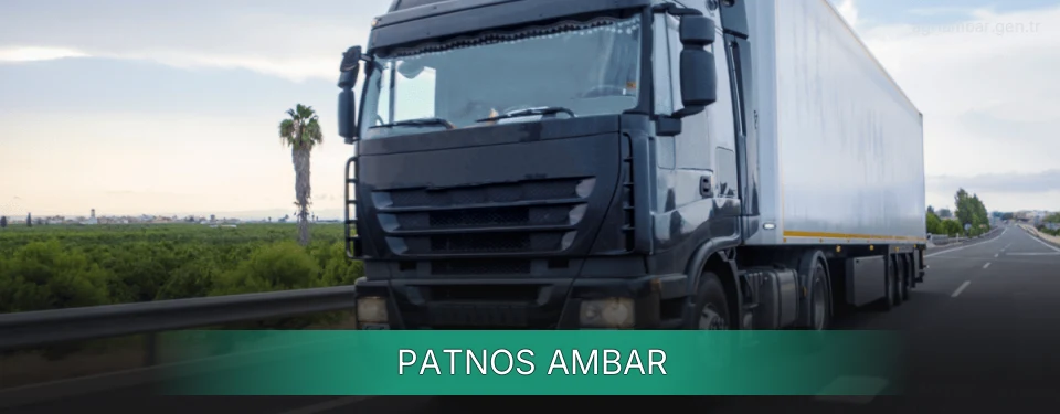 Patnos Ambar
