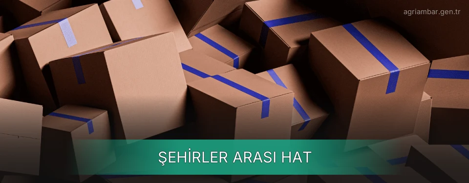 Ağrı Şehirler Arası Ambar Firmaları